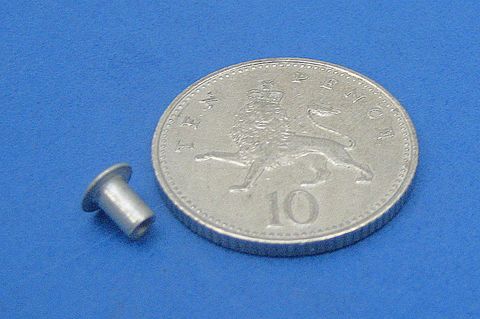 Spare Bulb Holder Rivet