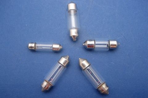 Festoon