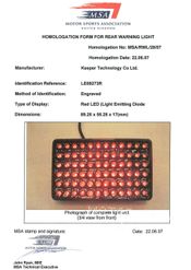 FIA Approved Rain Light