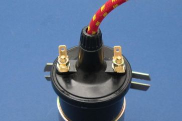 12V Acorn