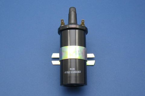 6V Acorn