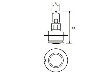 P36s (Single Contact) British Pre-Focus