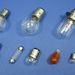 Bulbs Image