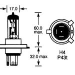 P43t H4 thumbnail