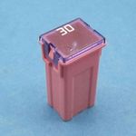 Pal Fuses (J type) thumbnail