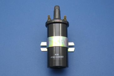 6V Acorn