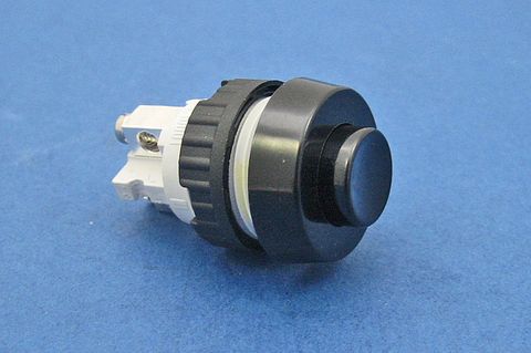 Black knob, plastic housing. Two screw terminals