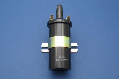12V Acorn