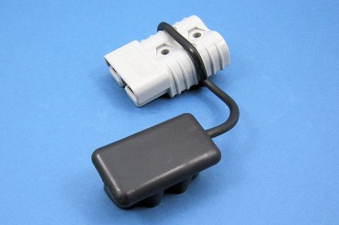 Dust Cap