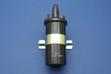 12V Acorn
