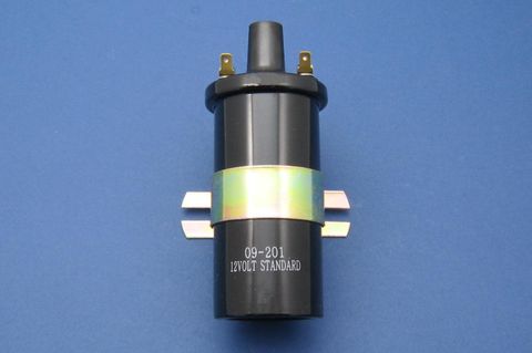 12V Standard